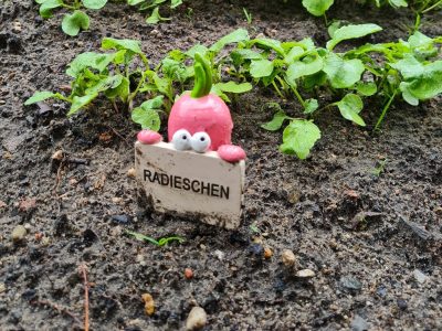 Foto: Sarah Stoffers