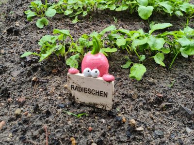 Foto: Sarah Stoffers