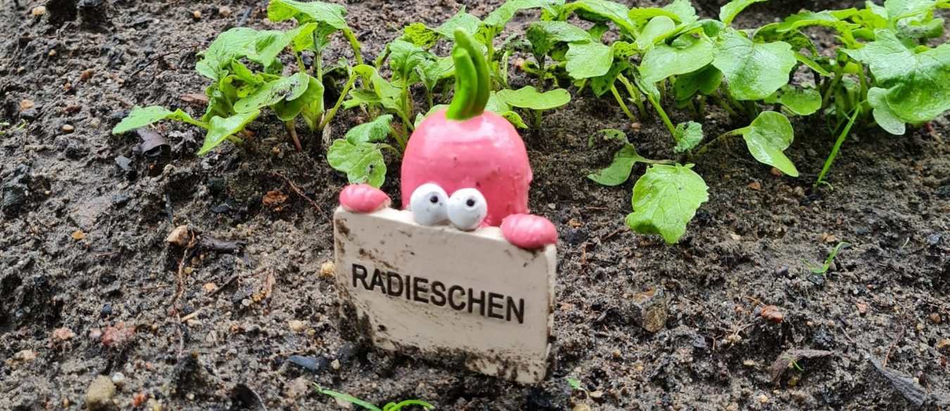 Foto: Sarah Stoffers